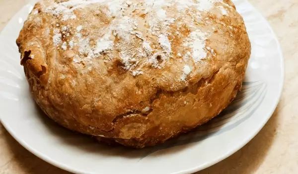 Hleb sa suncokretovim brašnom