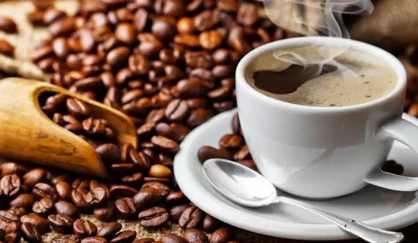 Kafa arabika - šta treba da znamo