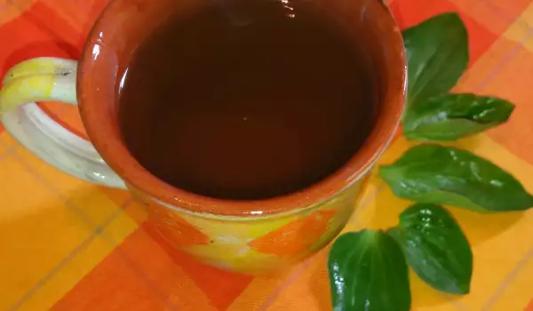 Čaj od bokvice za lečenje kašlja
