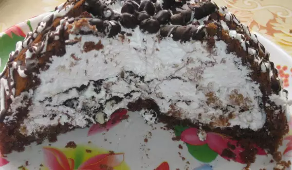 Kakao torta sa kremom od pavlake i voćem