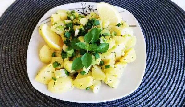 Krompir salata sa mladim lukom i limunom