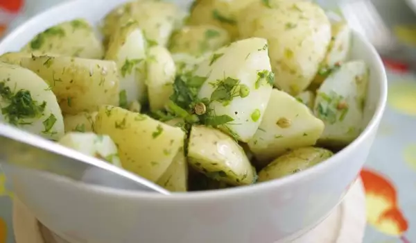 Tajne ukusne salate od krompira