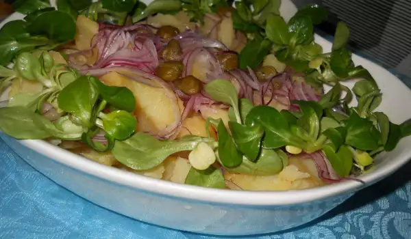 Krompir salata sa kaparima i valerijanom