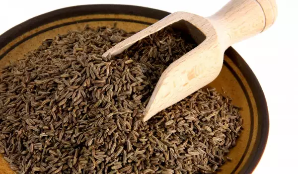 Začin kumin