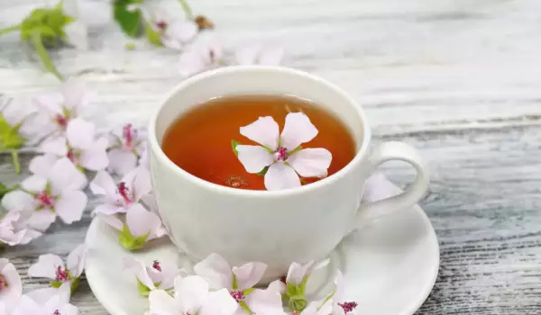 čaj od belog sleza