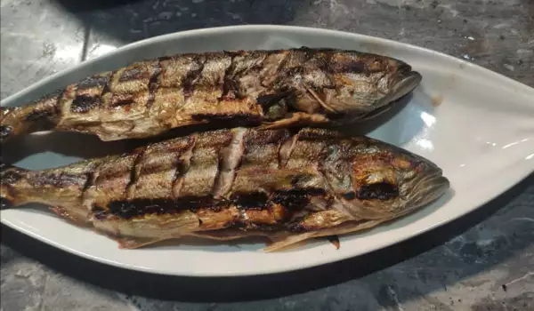 Plava riba na grčki način na roštilju