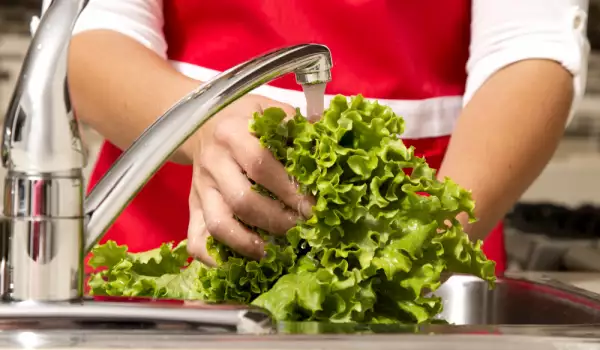 Kako oživeti uvelu zelenu salatu