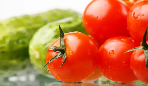 Sadnja i gajenje čeri paradajza