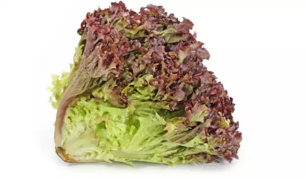Salata
