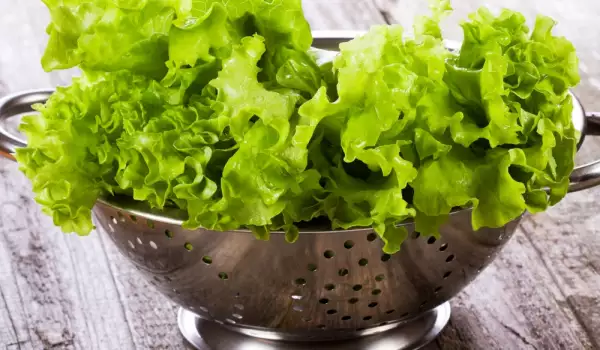 Kako se čisti zelena salata?