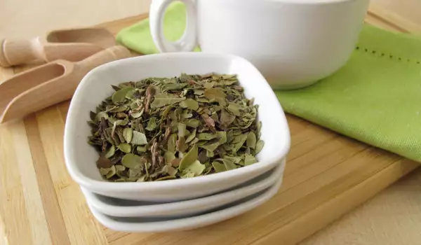 Kako napraviti čaj od medveđeg grožđa?