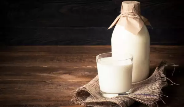 Magareće mleko - zašto je toliko korisno?