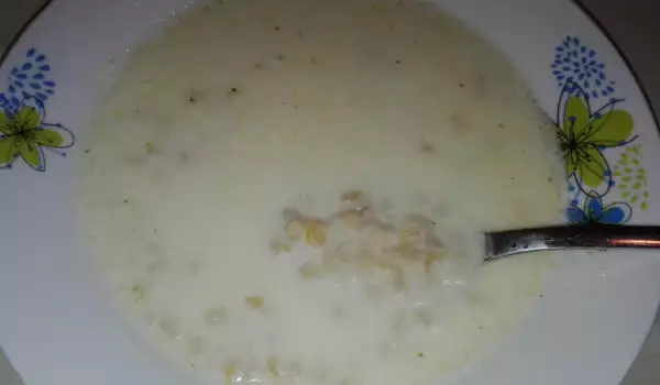 Mlečna supa sa pšenicom