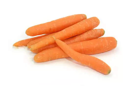 Prijem gvožđa