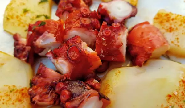Salata od hobotnice na galicijski način