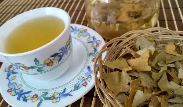Čaj od listova oraha