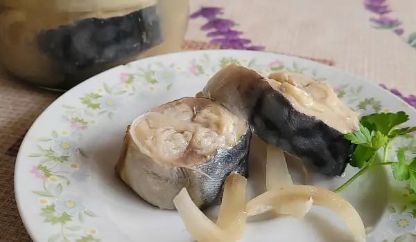 Usoljena skuša u salamari
