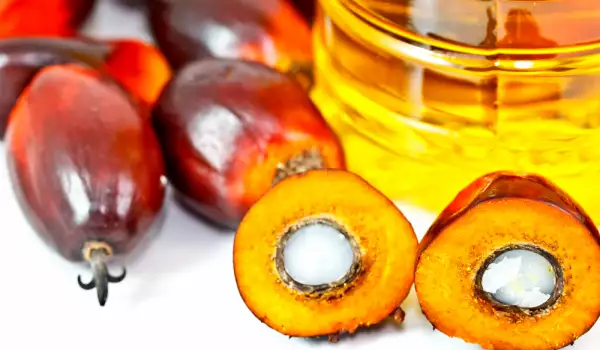 Da li je palmino ulje korisno ili štetno?