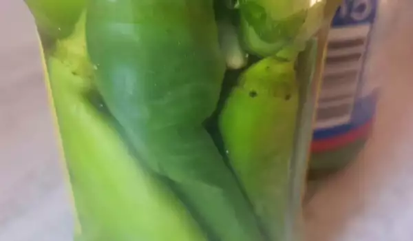 Kuvane čorbadžijske paprike