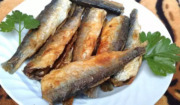Pržena baltička sardina