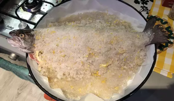 Losos pastrmka u kori od soli sa limunom