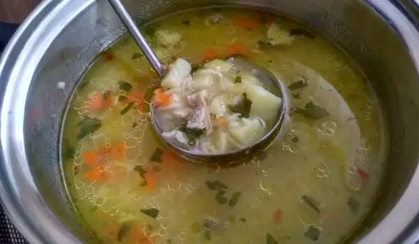 Pačija supa sa krompirom i rezancima