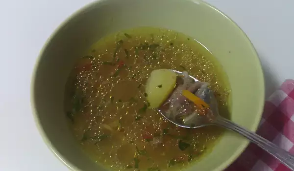 Pačija supa sa povrćem