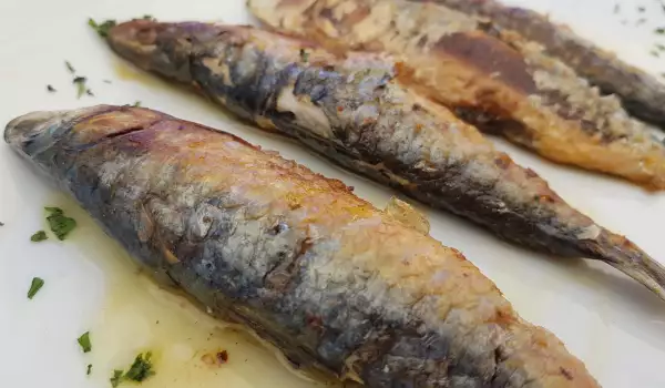 Pečena sardina sa peršunom na roštilju