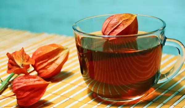 Čaj od fizalisa - zašto da ga pijemo?