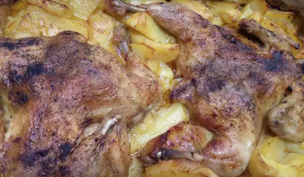 Piletina sa krompirom u rerni na seoski način