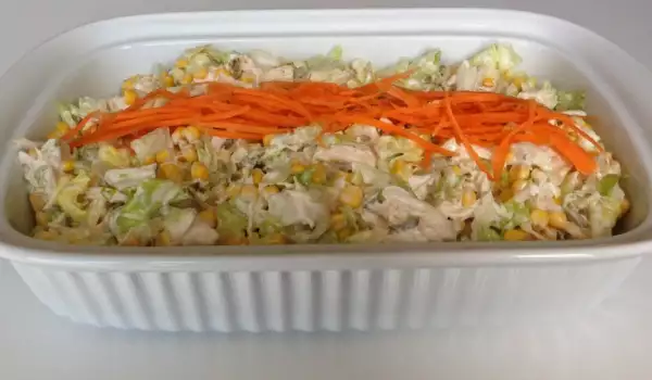 Pileća salata sa kupusom i šargarepom