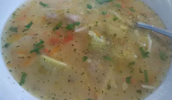 Pileća supa na baštovanski način