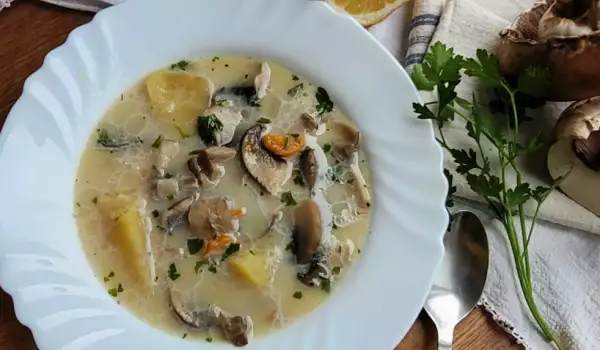 Supa sa Portobelo pečurkama