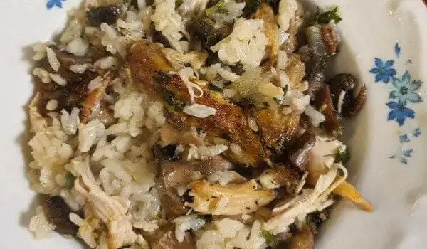Ćuretina sa pirinčem i pečurkama