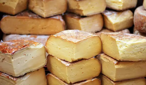 Magareći sir - najskuplji sir na svetu