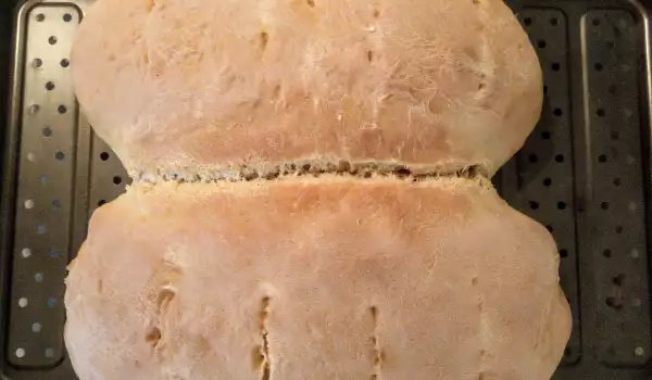 Ručno mešeni hleb