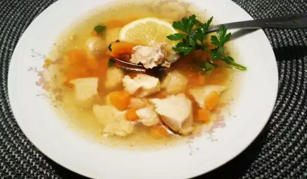 Režimska pileća supa