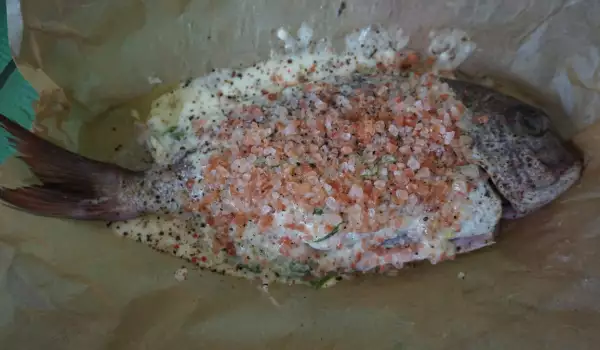 Crveni zubatac u rerni sa morskom solju
