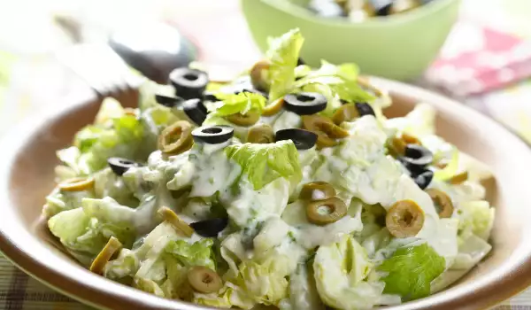 Zelena salata sa svežim dresingom