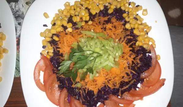 Salata sa crvenim kupusom, kukuruzom i paprikama