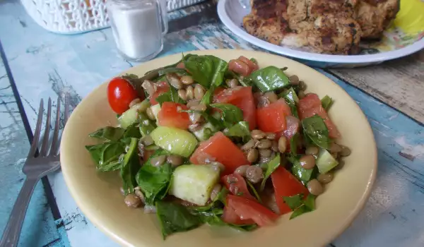 Šarena salata sa sočivom i spanaćem