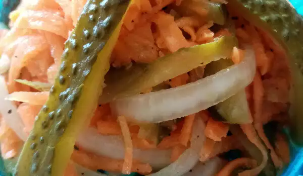 Ukusna salata sa šargarepom za meze