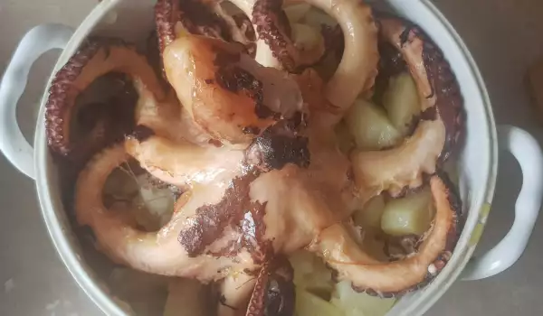 Salata sa hobotnicom i krompirom