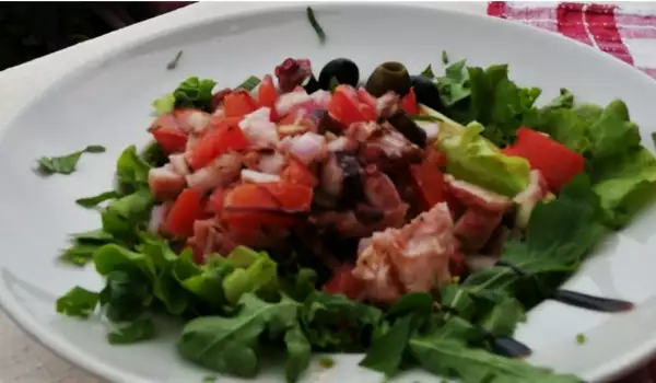 Salata sa hobotnicom, rukolom i paradajzom