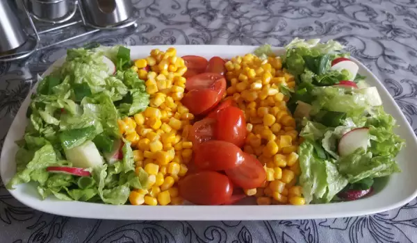 Salata za rakiju