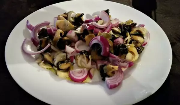 Salata od morskih puževa sa crvenim lukom