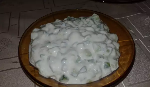 Salata Snežana
