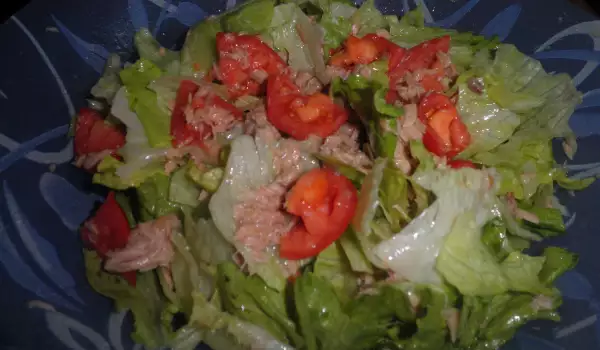 Zelena salata sa tunjevinom iz konzerve