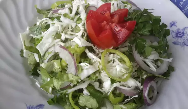 Salata od kupusa sa zelenom salatom i paprikama