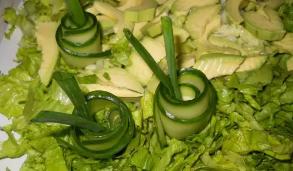 Salata zelena svežina